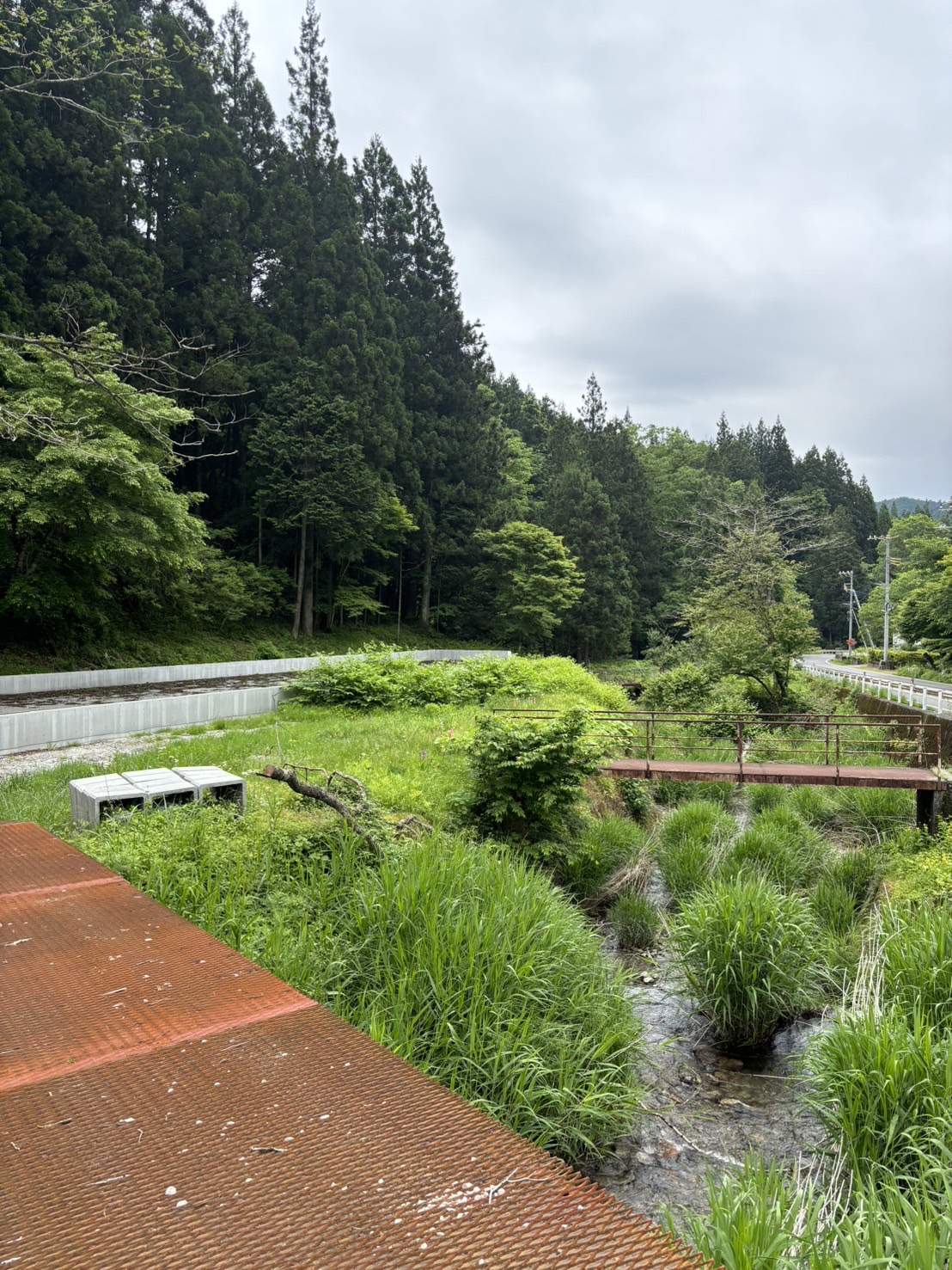 天然氷の画像